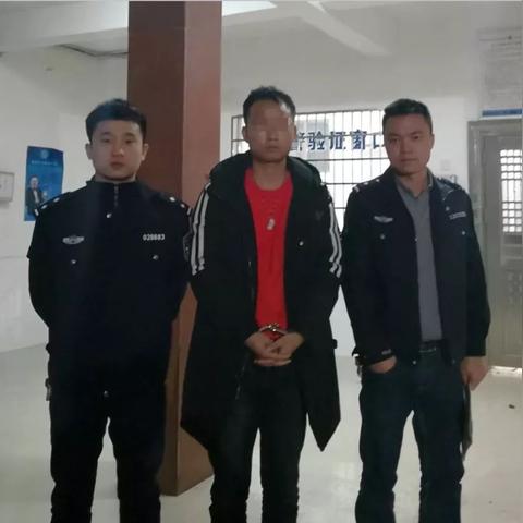 揭秘实时监控陌陌聊天记录的技巧与案例分享