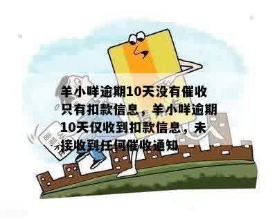 羊小咩享花卡油卡套现全攻略，手把手教你玩转油卡提现技巧（附避坑指南）