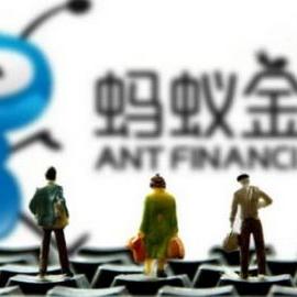 yy花呗套出来的真相揭秘，深度解析与案例分析