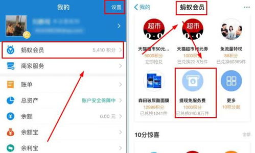 支付宝的提现免额度怎么还—详细解读与案例分享