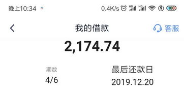 揭秘个体商户羊小咩便荔卡提现利息，如何节省你的钱袋子？