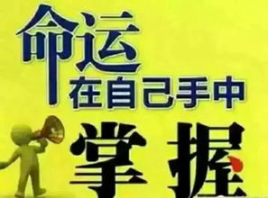 在玉林能做什么活动赚钱—探索商机，共创财富之旅