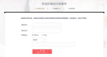 揭秘个体商户京东白条提现利息，费用明细及案例分析