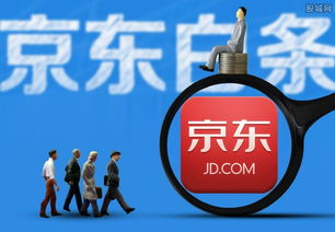 揭秘个体商户京东白条提现利息，费用明细及案例分析