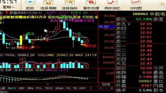 股票新手做什么赚钱快点？入门攻略与实战案例解析