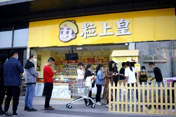 粒上皇加盟开店指南，从起步到成功经营全攻略
