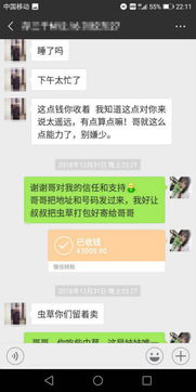揭秘微信聊天记录查询，真的可以吗？揭秘过程与注意事项