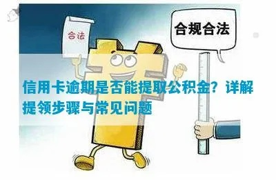 公积金信用贷与信用卡取现，深度解析及实用案例