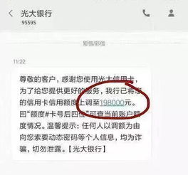 羊小咩便荔卡套出来信用卡额度，揭秘信用卡额度提升的秘密武器！