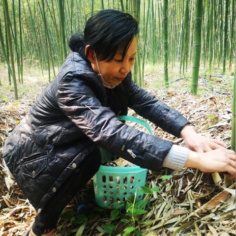 河南焦作靠什么致富，深度解析与案例分享