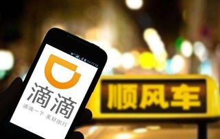 哈啰管家加盟代理公司攻略，一步步实现共赢