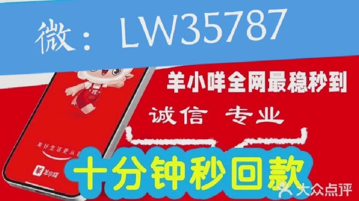 羊小咩便荔卡提现攻略，个体户轻松变现小技巧