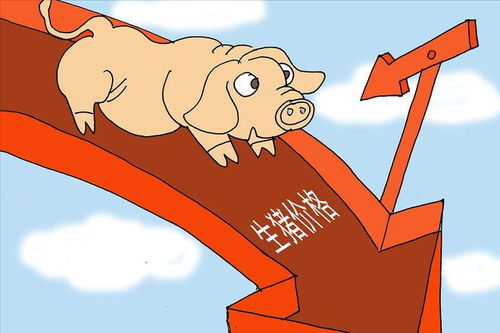 猪价跌，做什么赚钱多？看我一一揭秘！