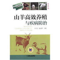 羊小咩便荔卡套出来新方法，揭秘高效便捷的生活技巧！