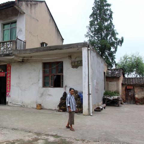 在家创业种植什么能致富？全面解析与实用建议
