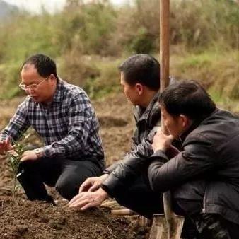 在家创业种植什么能致富？全面解析与实用建议