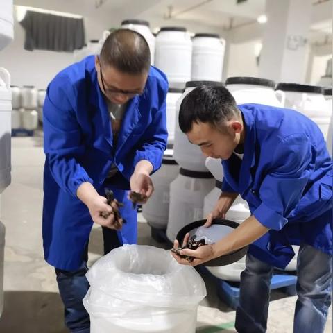 目前可靠的医药品牌