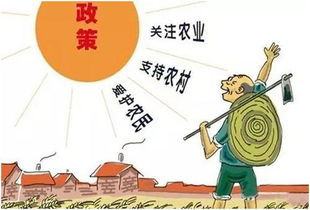医药品牌策略的构建与实践