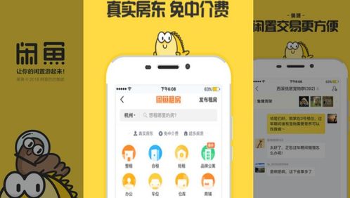 羊小咩便荔卡套出来闲鱼，揭秘二手交易中的小技巧与大智慧