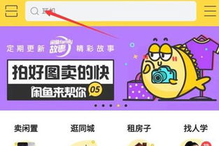 羊小咩便荔卡套出来闲鱼，揭秘二手交易中的小技巧与大智慧
