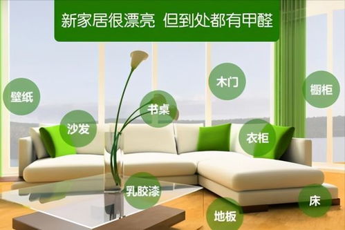 孝感装修除甲醛加盟品牌全面解析