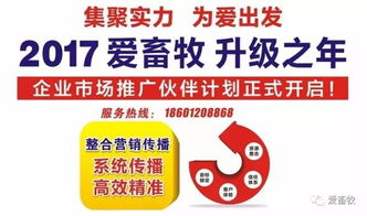 火鸟商圈什么产品好赚钱？解读热门商机与成功案例