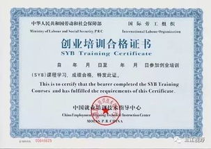 SYB创业培训优惠政策详解，你不得不知道的福利与案例