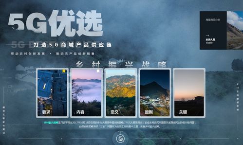 探索致富之路，从梦想走向现实的旅程