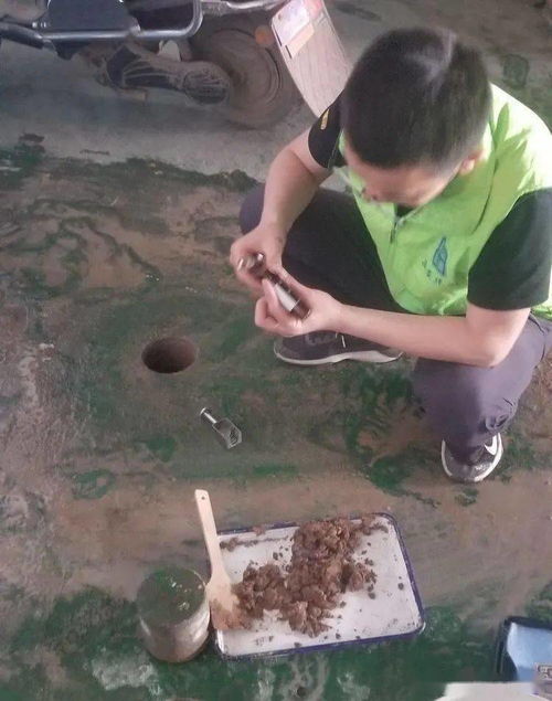 羊小咩便荔卡套出来西安，一场别开生面的城市探险之旅