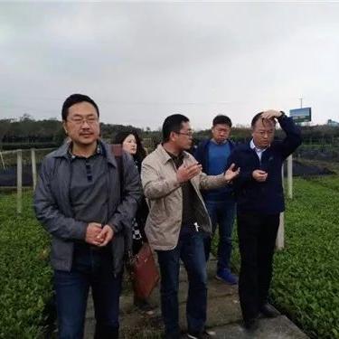 新房装修选择标注品牌的重要性