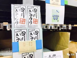 羊小咩便荔卡套出来物流隔天回款，揭秘高效回款背后的秘密！