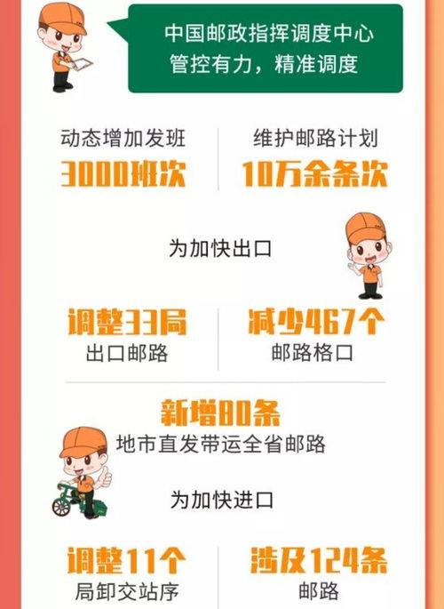 羊小咩便荔卡套出物流出库回款全流程解析