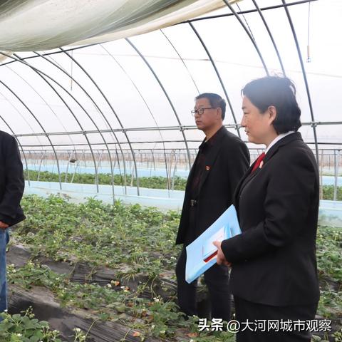 身边的朋友如何致富，案例分析与思考