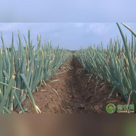 身边的朋友如何致富，案例分析与思考