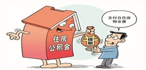公积金可以随意取现吗？影响有哪些？详解与案例分享