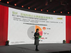 京东家电销售冠军，揭秘品牌背后的故事