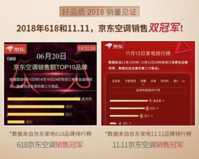 京东家电销售冠军，揭秘品牌背后的故事