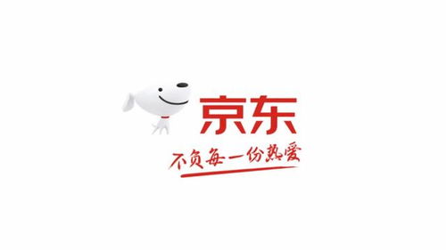 京东家电销售冠军，揭秘品牌背后的故事