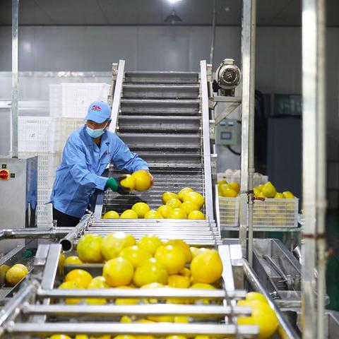重庆正规家电清洗机品牌全解析