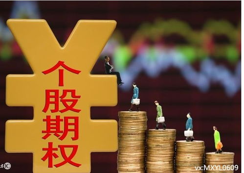 上海做什么容易致富赚钱，深度解析与案例分享