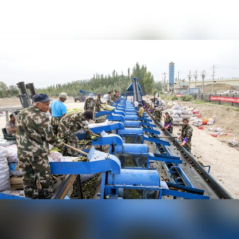 去新疆做什么活动赚钱最快？探索商机与成功案例