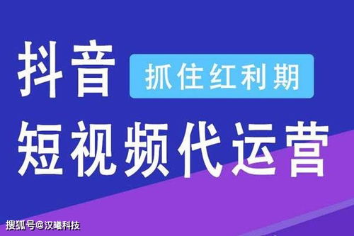 抖音月付提现，操作指南、风险提示与案例分析