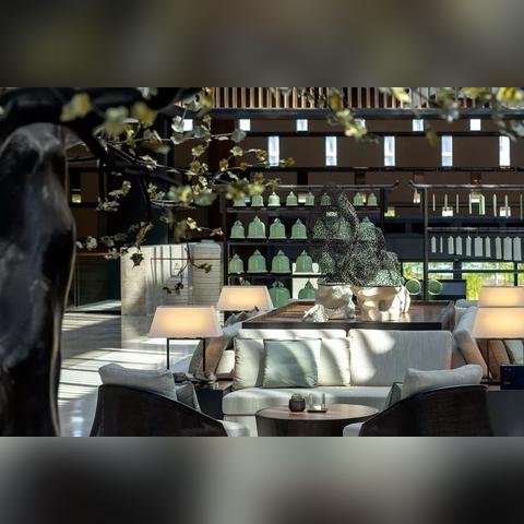 网上查酒店住房记录，全面解析与注意事项