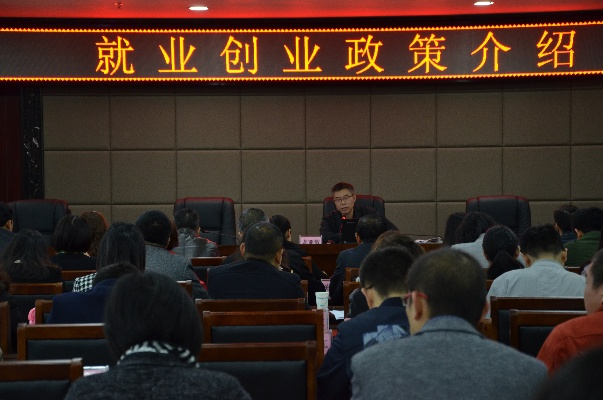 社保局创业培训内容与案例解析