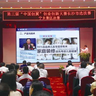 旅游公司创业项目全解析，从想法到实践的全方位攻略