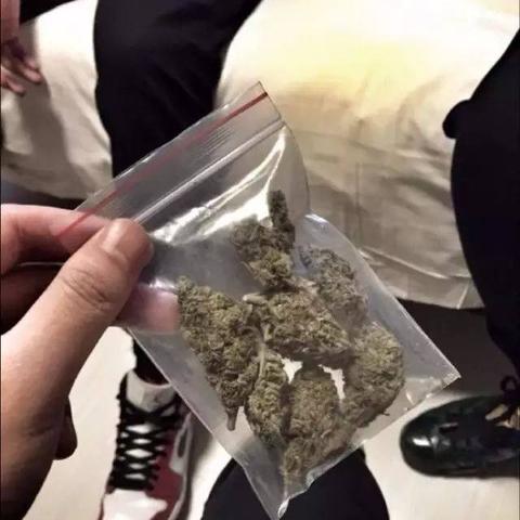 别人陌陌聊天记录被删除了？教你如何查看！