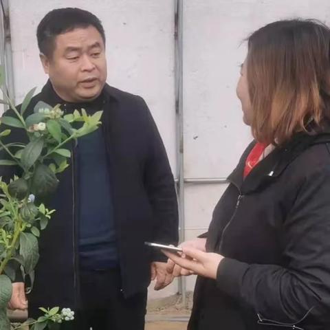 宽甸定制装修品牌大全