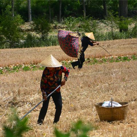 人闲着做什么赚钱快？这些方式告诉你答案