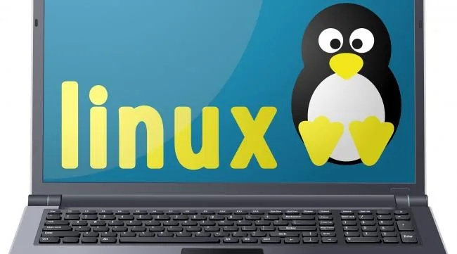 Linux系统下轻松查看电脑品牌