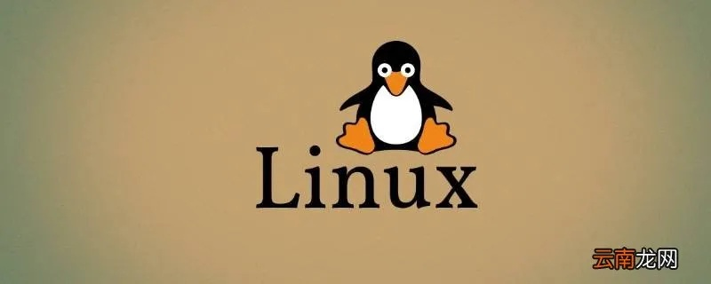 Linux系统下轻松查看电脑品牌